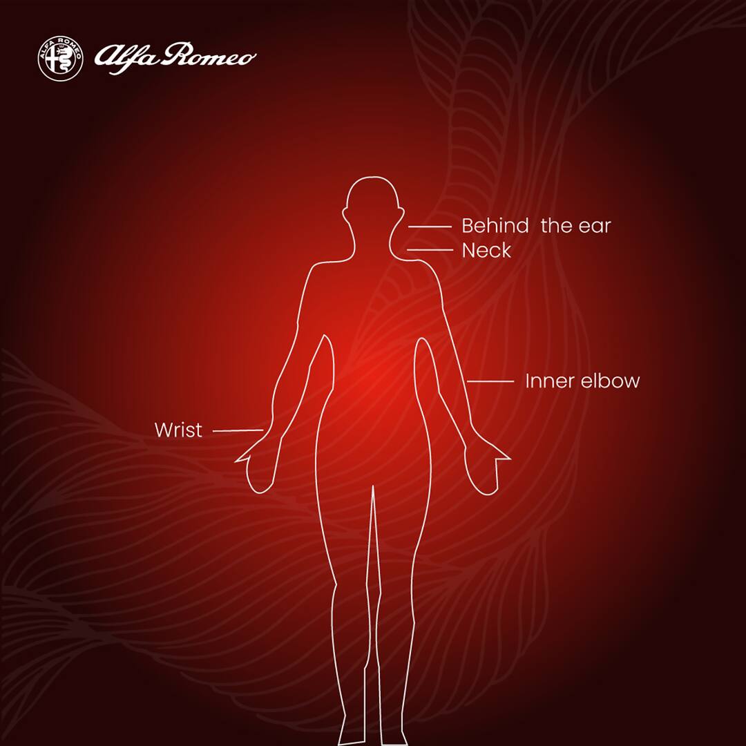 ShPMwecbqr-1128264_7